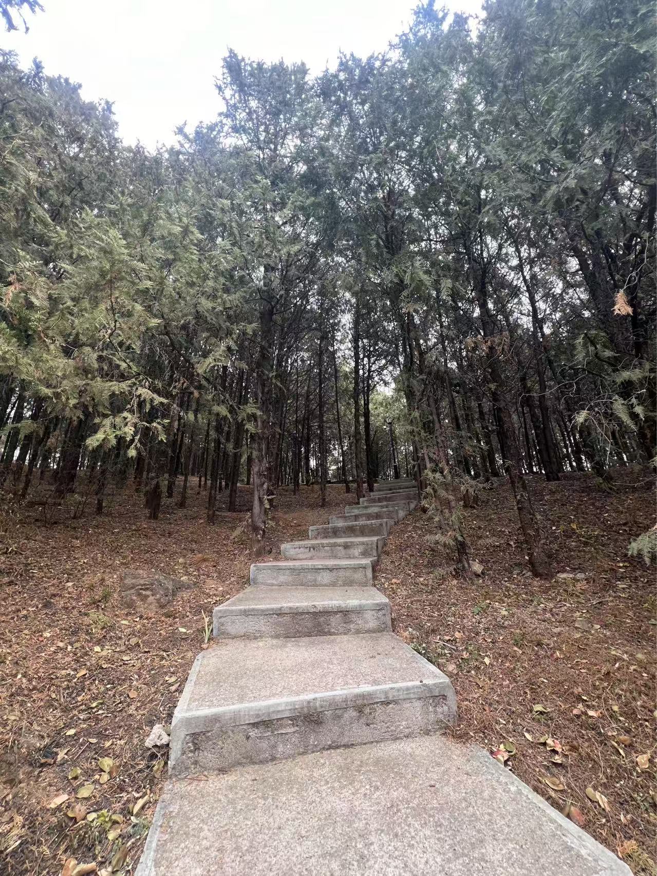 【工作途中的小确幸】雁栖湖冬日独行记 【工作途中的小确幸】雁栖湖冬日独行记