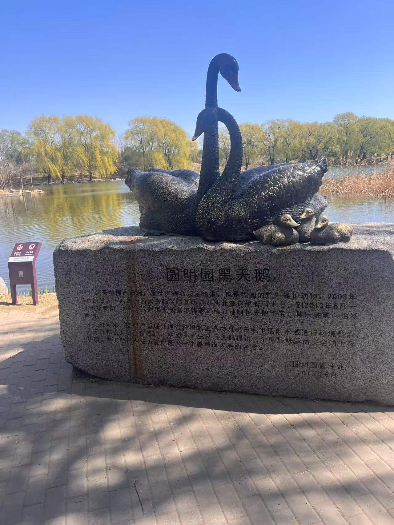 【废墟中的春天】2024年3月29日圆明园寻迹 【废墟中的春天】2024年3月29日圆明园寻迹
