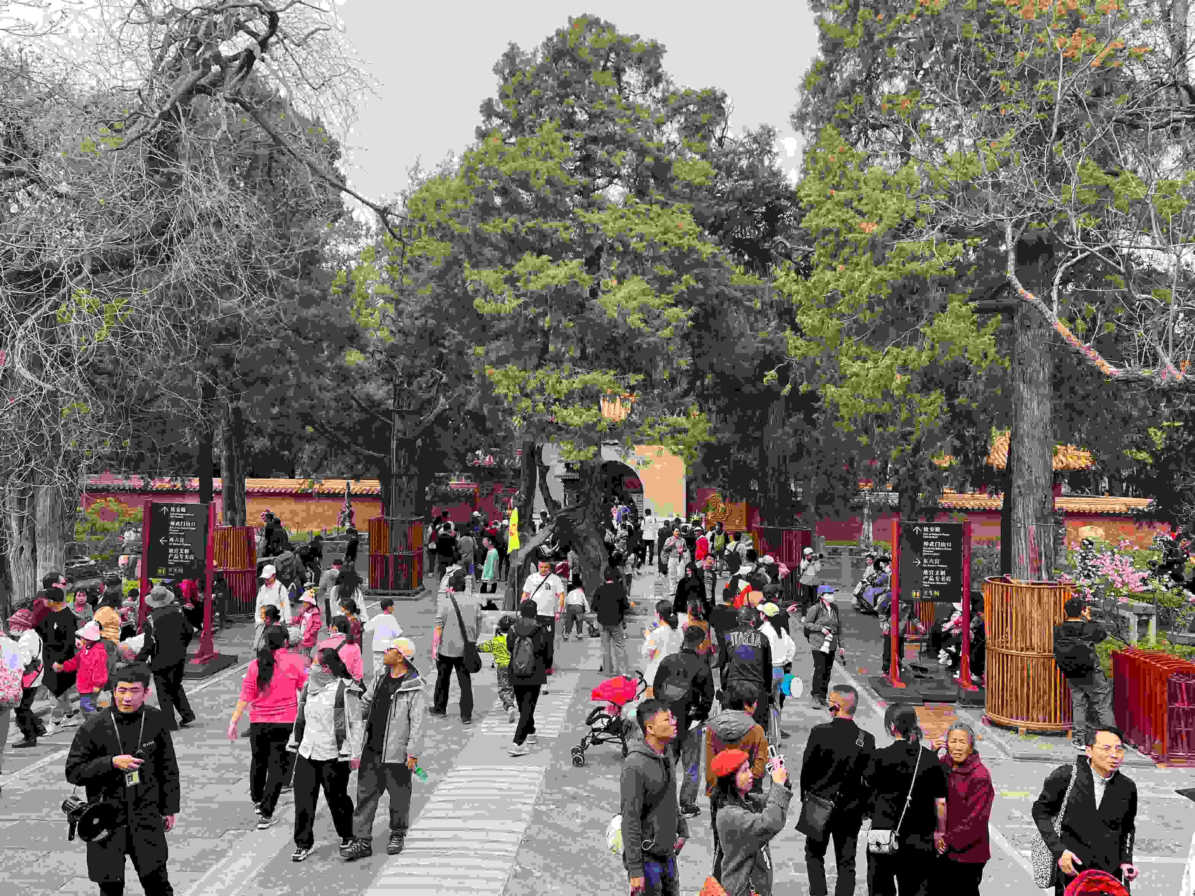 【午后的紫禁城】2024年4月3日故宫穿越时空之旅 【午后的紫禁城】2024年4月3日故宫穿越时空之旅